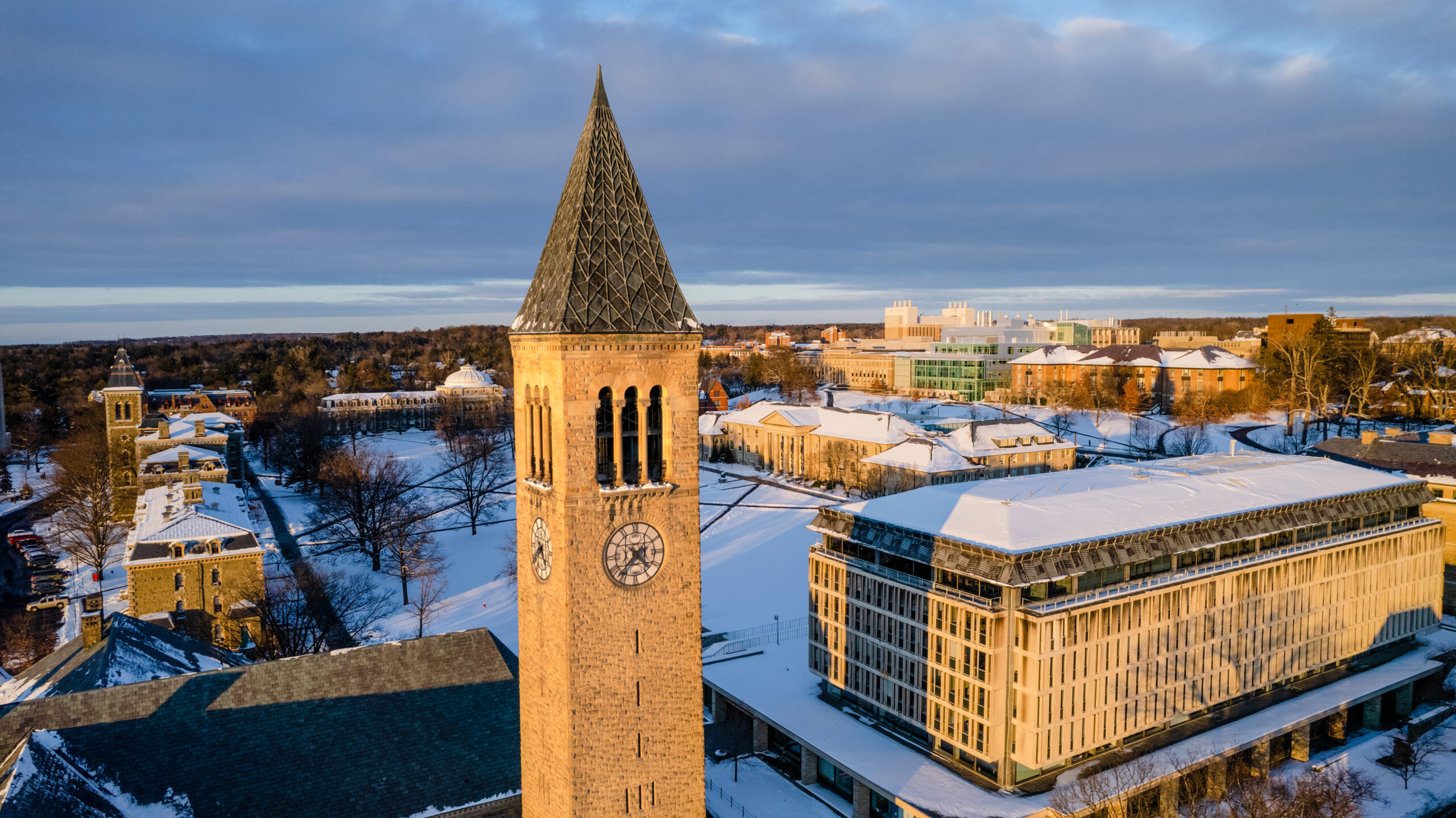 Uris and Olin Libraries