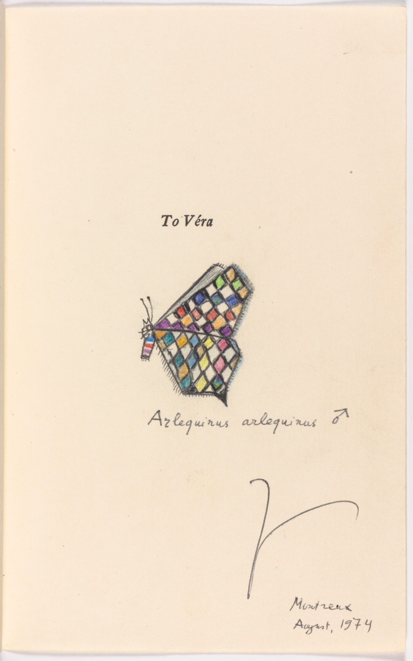 A drawing of a butterfly by Vladimir Nabokov